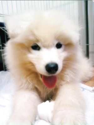 [daece213f0c160e5c2fd7802.jpg]