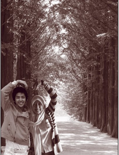 pipenk_arra