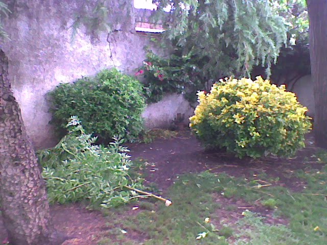 [Imagen036.jpg]