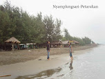 PANTAI NYAMPLUNGSARI PETARUKAN