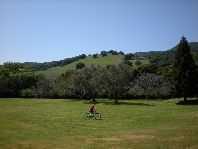 cu bicicleta in natura