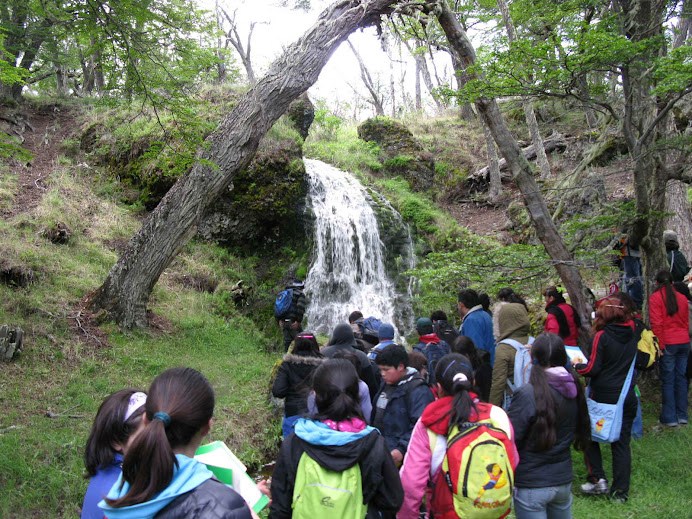 Cascada Temporera