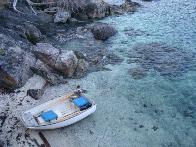 [DSC05080.JPG]
