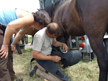 Het eerste oponthoud