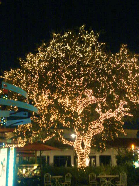 The Shops at La Cantera,