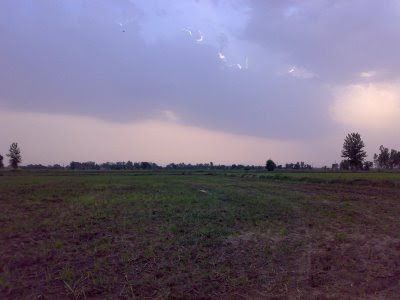 loneliness, nature, jungle, planes, clouds