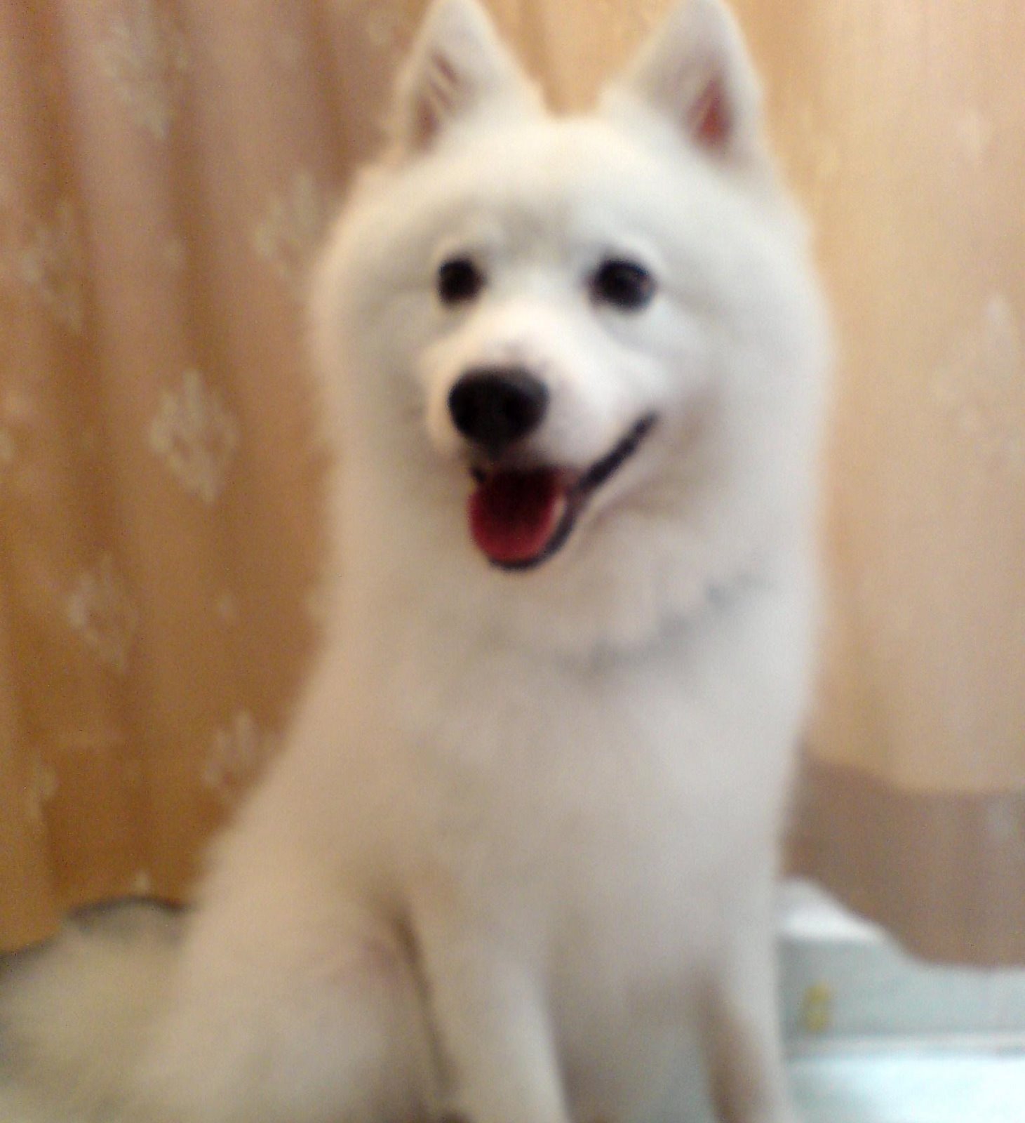 [DSC01152.JPG]