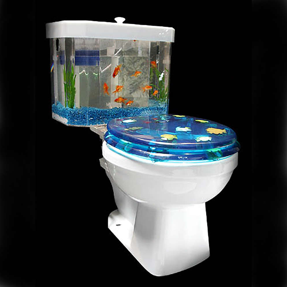 [fish-bowl-toilet.jpg]