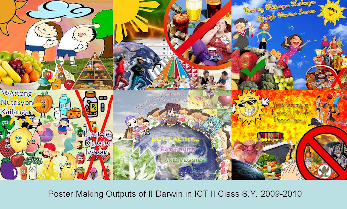 II - Darwin  2009-2010 Poster
