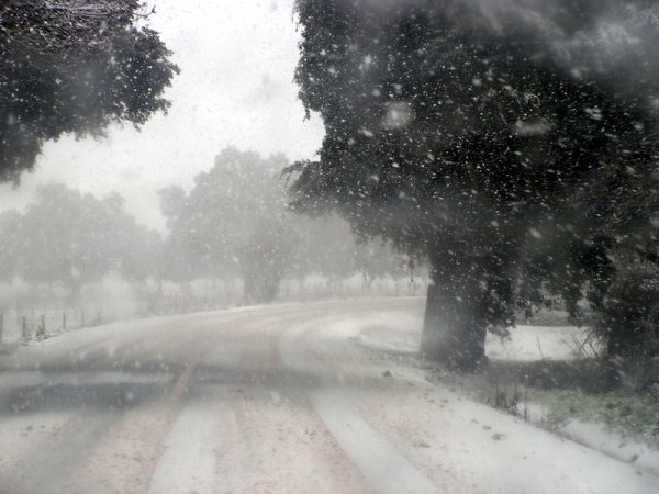 [Neve+I.JPG]