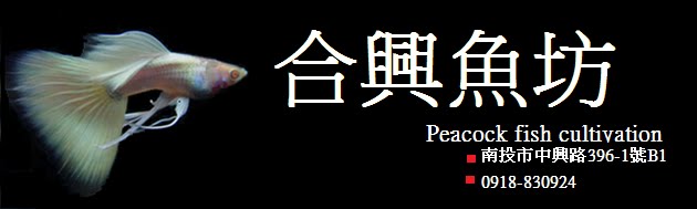合興魚坊