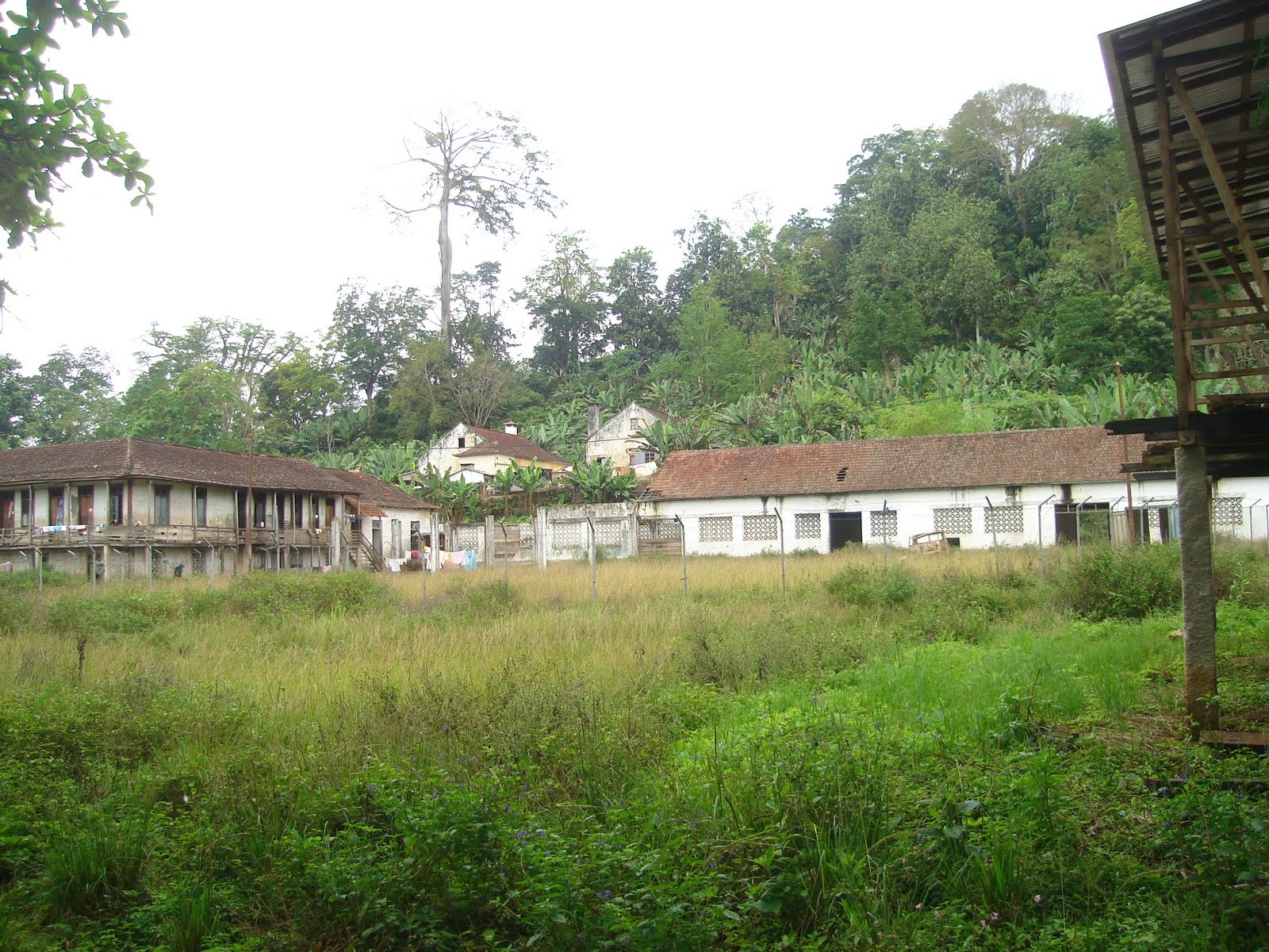 [DSC00649.JPG]