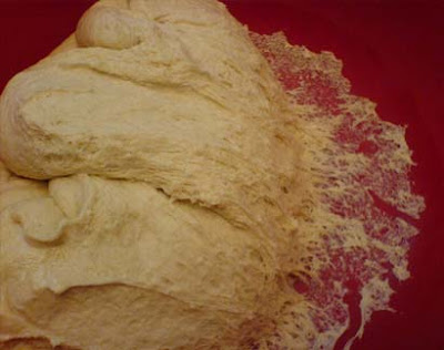 Pizza Dough