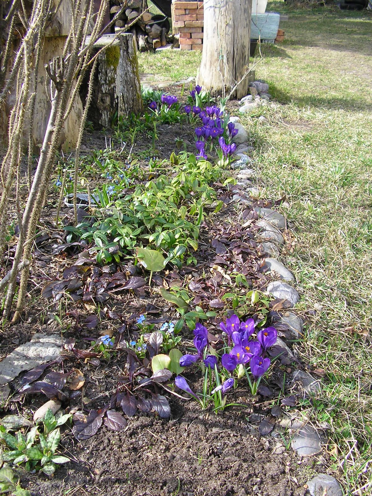 [P4279230.JPG]