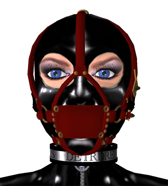 [dari_trainer01.jpg]