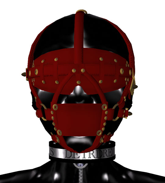 [dari_trainer03.jpg]