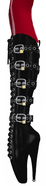 [mesmerize_ballets02.jpg]