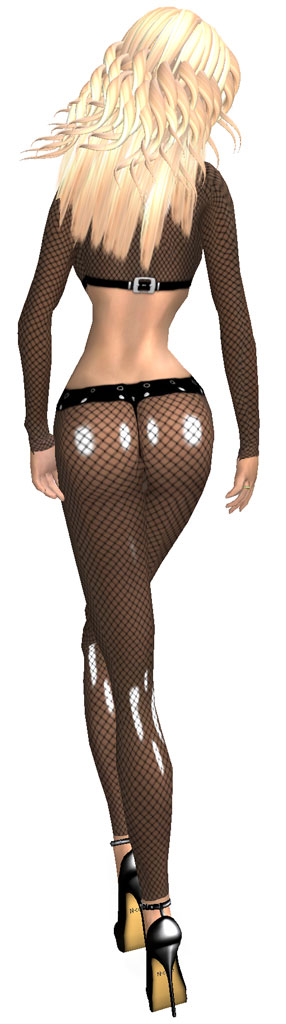 [hugo_netsuit02.jpg]