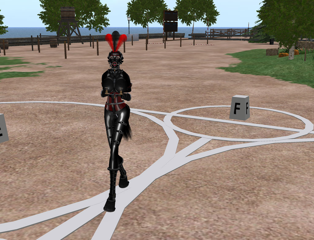 [dressage_field02.jpg]