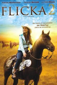 Filme Poster Flicka 2 - Amigos Para Sempre DVDRip RMVB Legendado