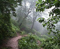 Plateau+of+iran+location