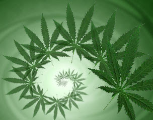 ft1_maconha.jpg