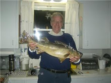 fish caught by   gerry..on a secrect lake..ill find out where!. nice walleye