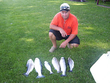 3 brown trout and one salmon shaker, and some bows, july 5 2008