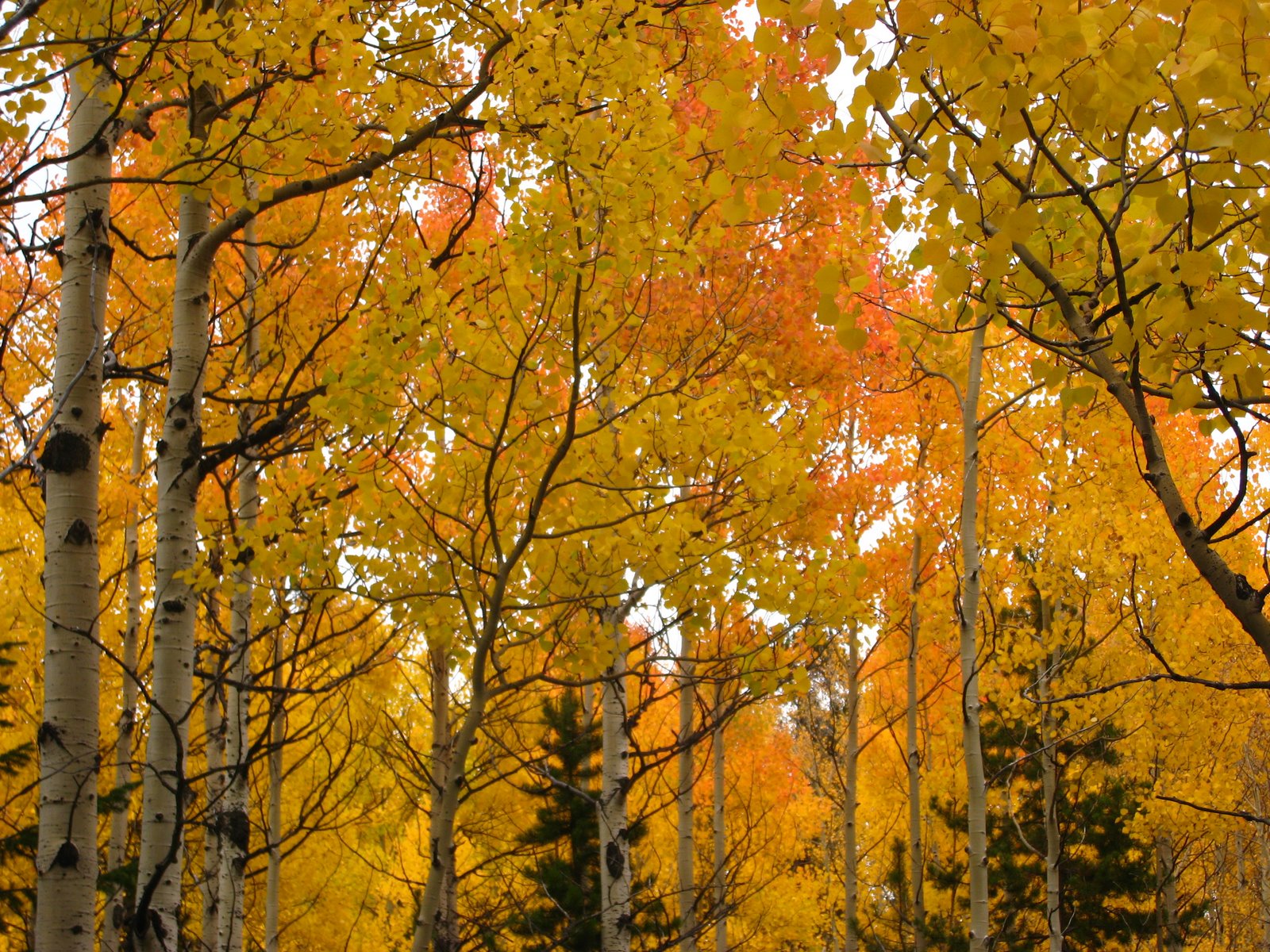 [GoldenGateCanyon+007.jpg]