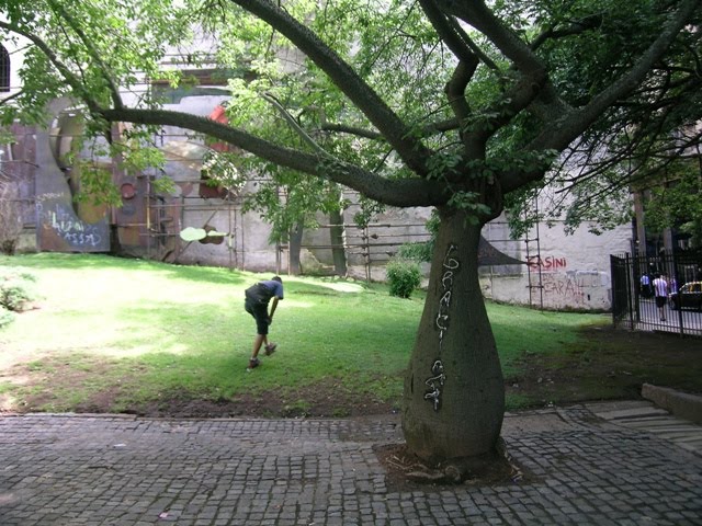 [DSCN1502.JPG]