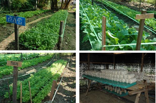 [ecopark_bangkok.jpg]