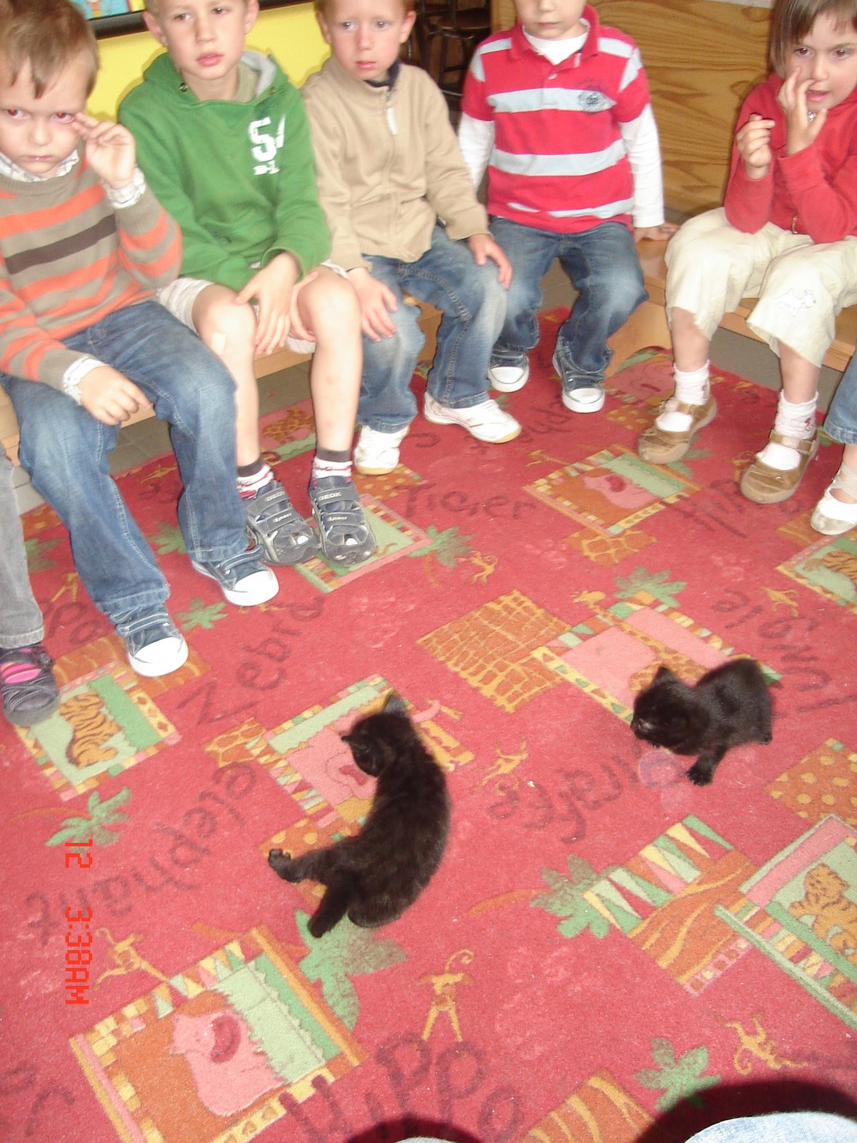 [DSC03014.JPG]