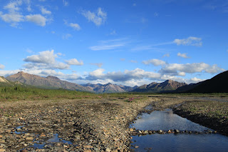 Teklanika River