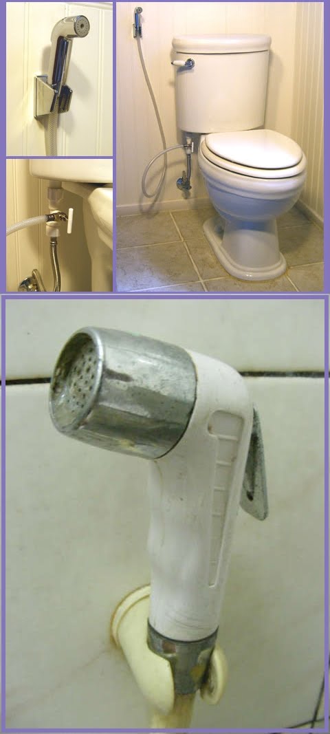 HS_Toilet_Shot3.jpg