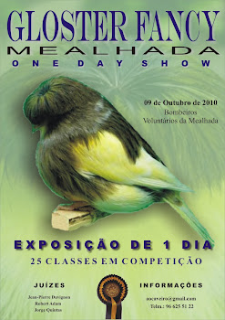 Gloster Fancy Mealhada One Day Show