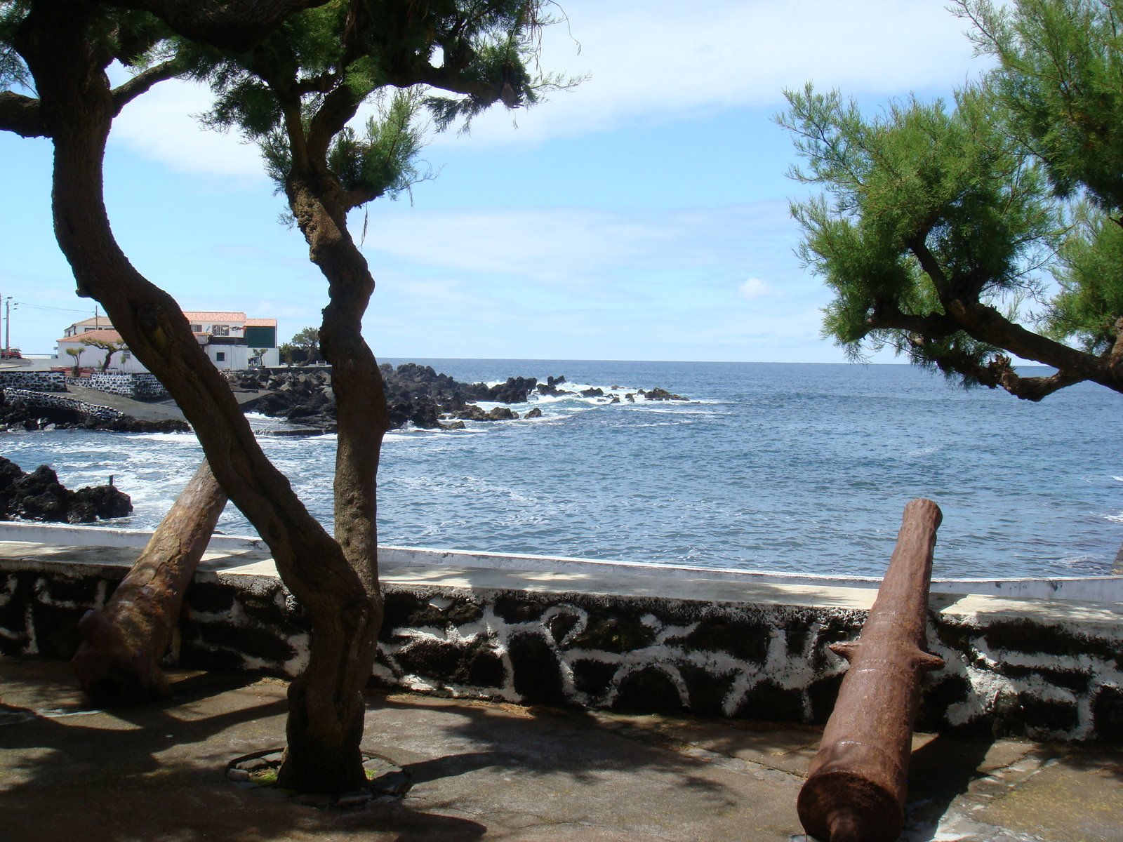 [DSC00113.JPG]