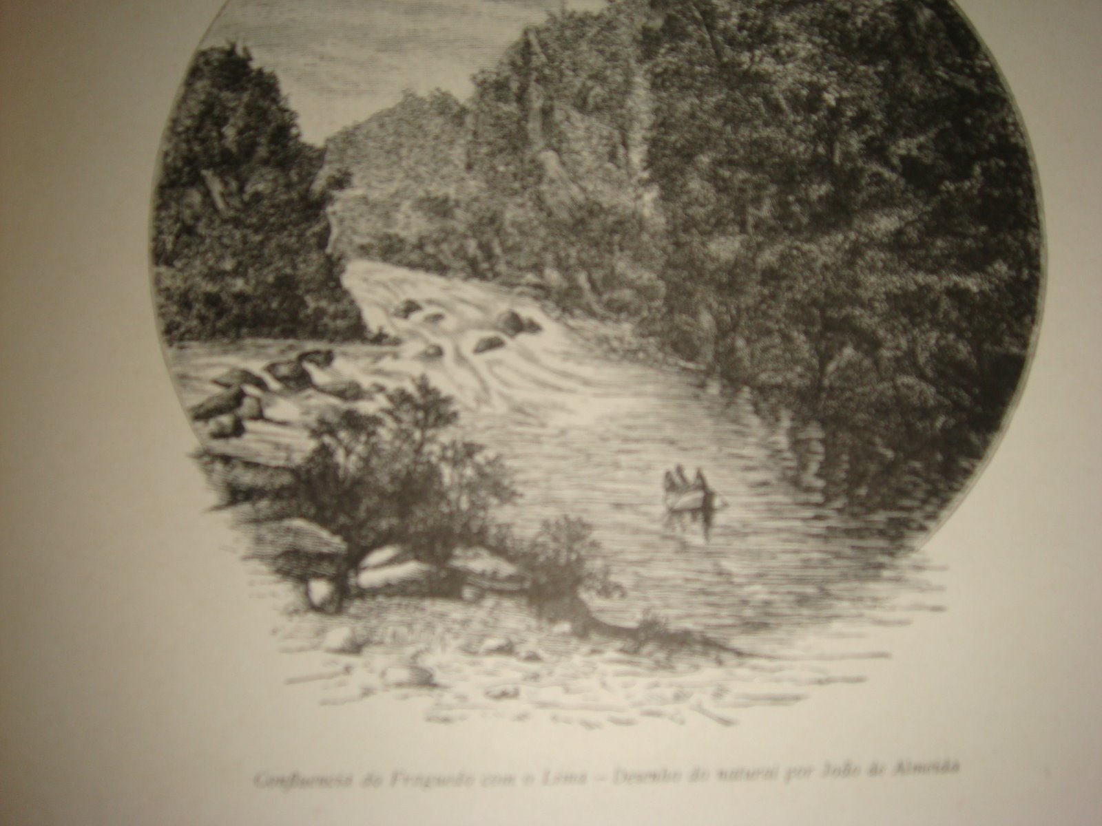 [DSC00671.JPG]