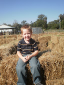 Tommy in the Hay Maze