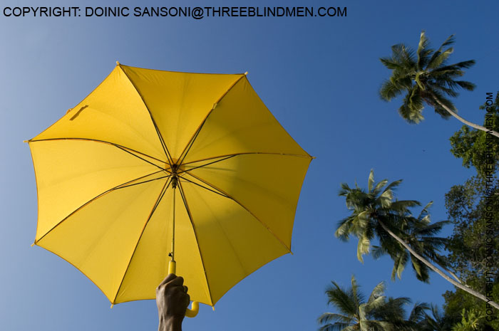 [DS_080201_6183.jpg]