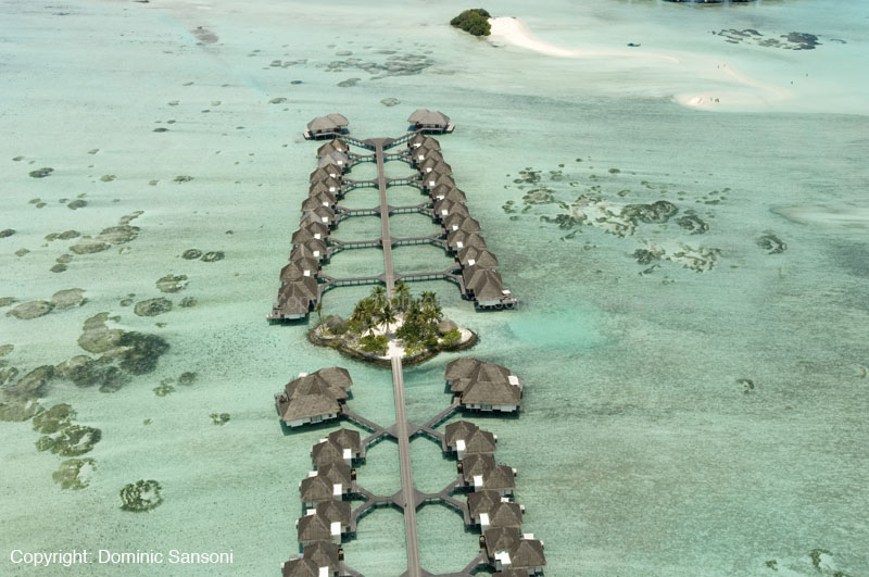 [_DSC0015_four_Seasons.jpg]