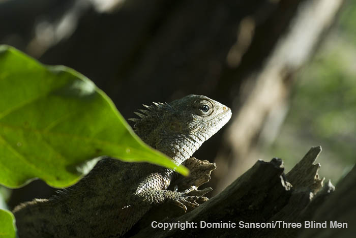 [Katussa_DSC2056.jpg]