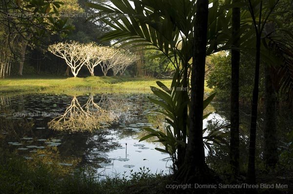 [14850952-792px.jpg]