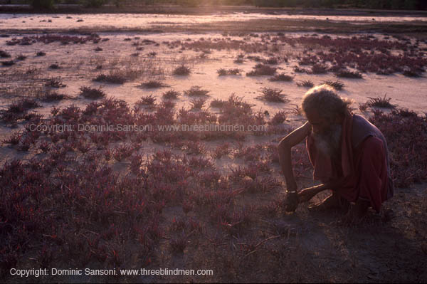 [19184070-792px.jpg]