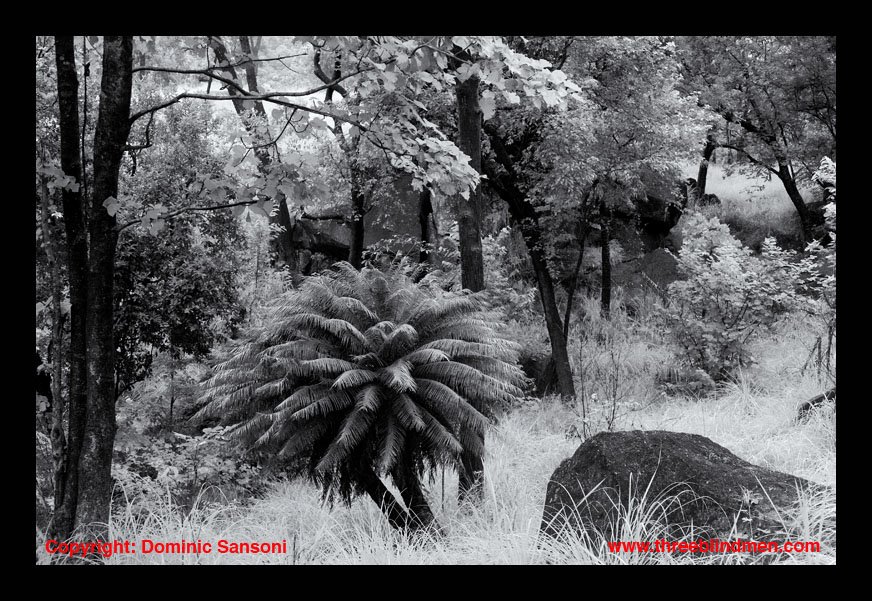 [DS_081123_1779.jpg]