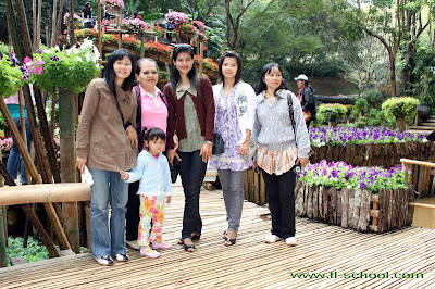 สวนดอกไม้ใกล้ๆ กับพระตำหนักดอยตุง