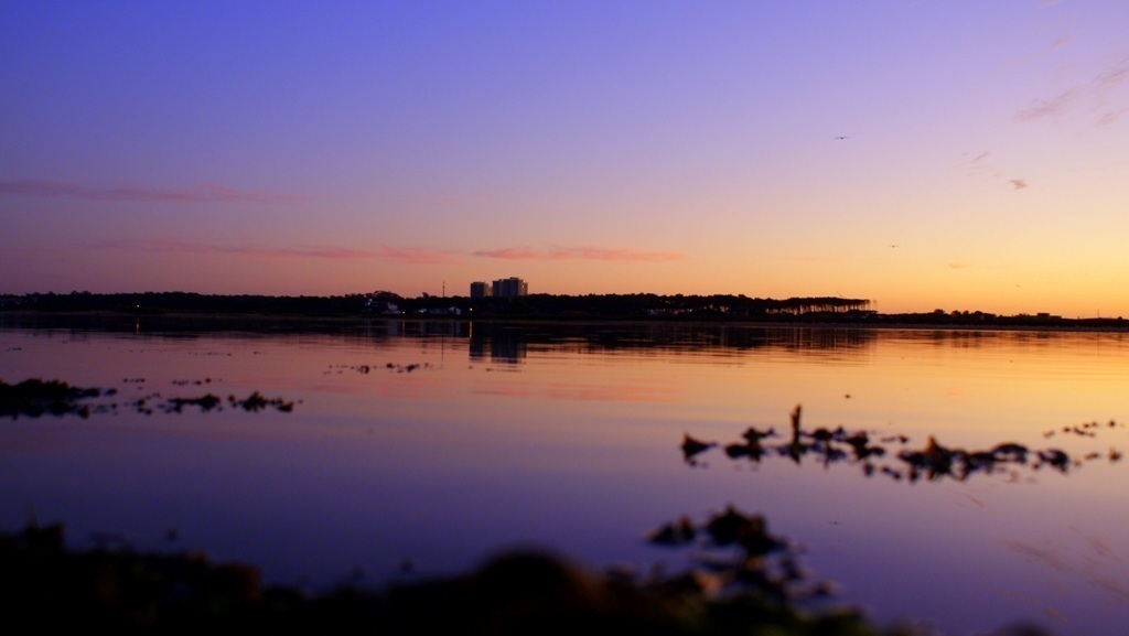 [DSC05434.JPG]