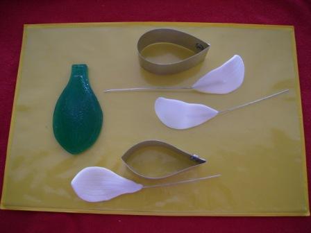 [PB070007.JPG]