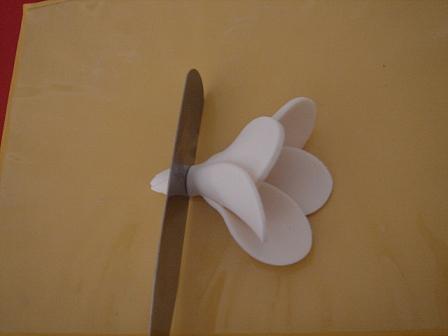 [frangipani+052A.jpg]
