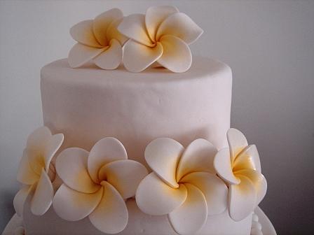 [frangipani+076A.jpg]