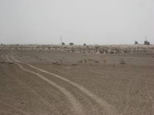 [IMG_9202.JPG]